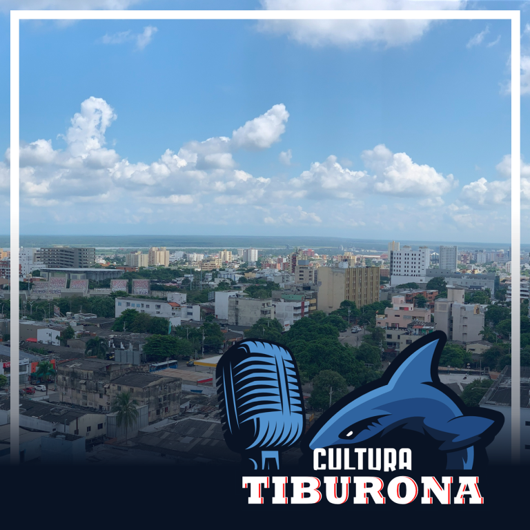 Cultura Tiburona (4)